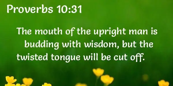 Proverbs