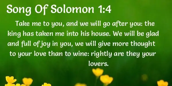 Song of Solomon