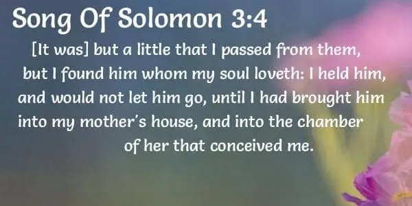 Song of Solomon