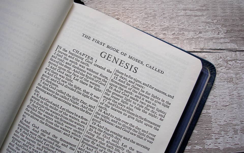 bible genesis