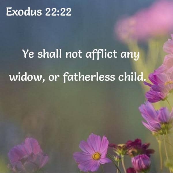 Bible Verses About Fatherless - 43 passages - King James Version (KJV)