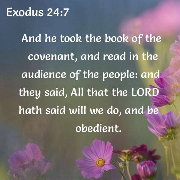 bible verse