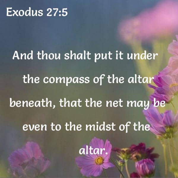 Bible Verses About Compass 38 passages King James Version (KJV)