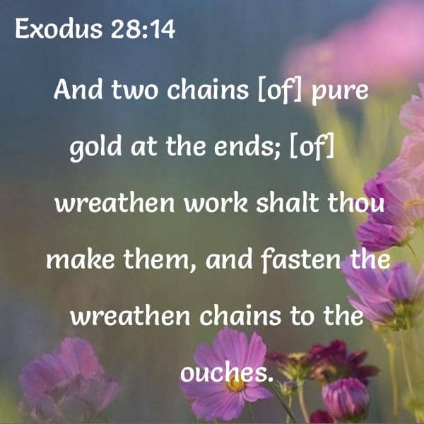 Share more than 81 bible verses about earrings kjv best esthdonghoadian