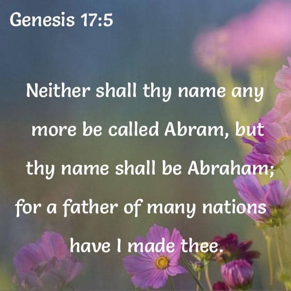 Bible Verses About Abraham 216 passages King James Version (KJV)