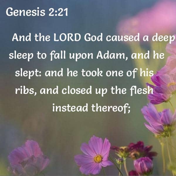 bible-verses-about-sleep-72-passages-king-james-version-kjv