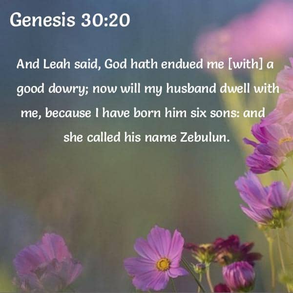 Bible Verses About Zebulun - 43 Passages - King James Version (KJV)