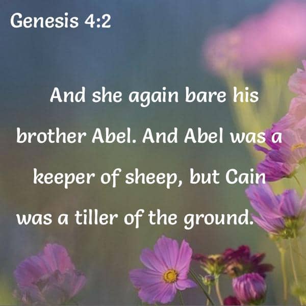 Bible Verses About Keeper 21 passages King James Version (KJV)