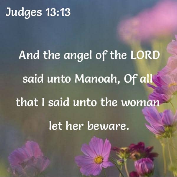 Judges 13:15 KJV - And Manoah said unto the angel of the LORD, I