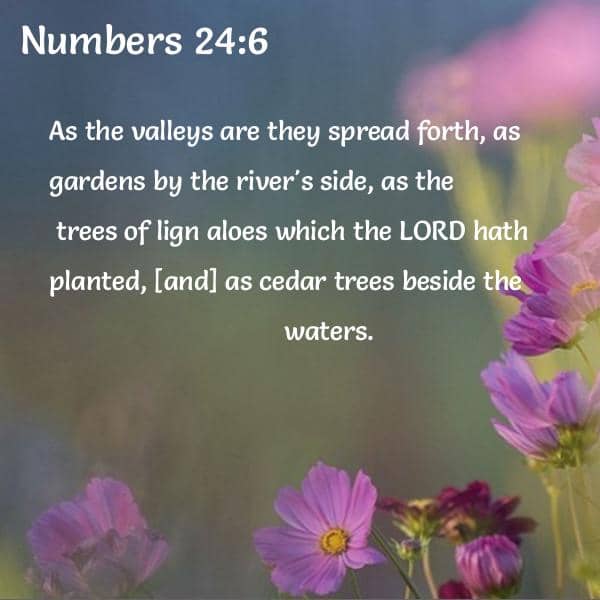 Bible Verses About Valleys - 28 passages - King James Version (KJV)