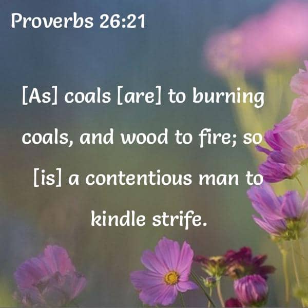 Proverbs 26 - Holy Bible English 