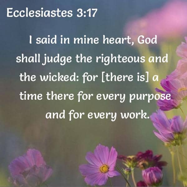 Ecclesiastes 3:17