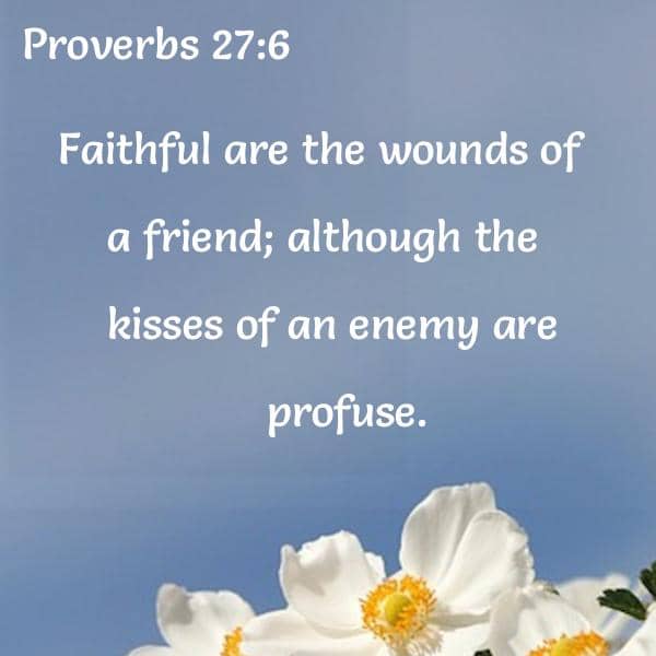 Faithful Are the Wounds of a Friend